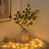 StarryDreams – Sfeervolle Olijftak verlichting