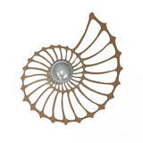 Schelp Ontwerp Decoratieve Wandlamp